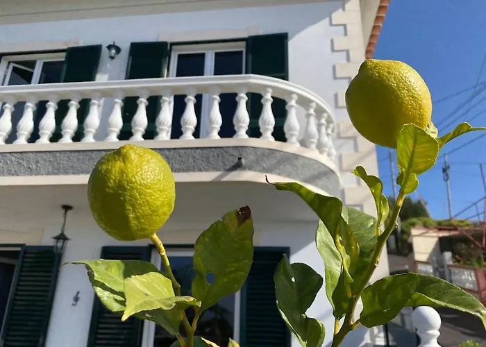 Melody House Of Ponta Do Sol Canhas